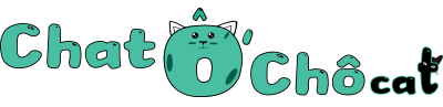 ChatÔchÔcat