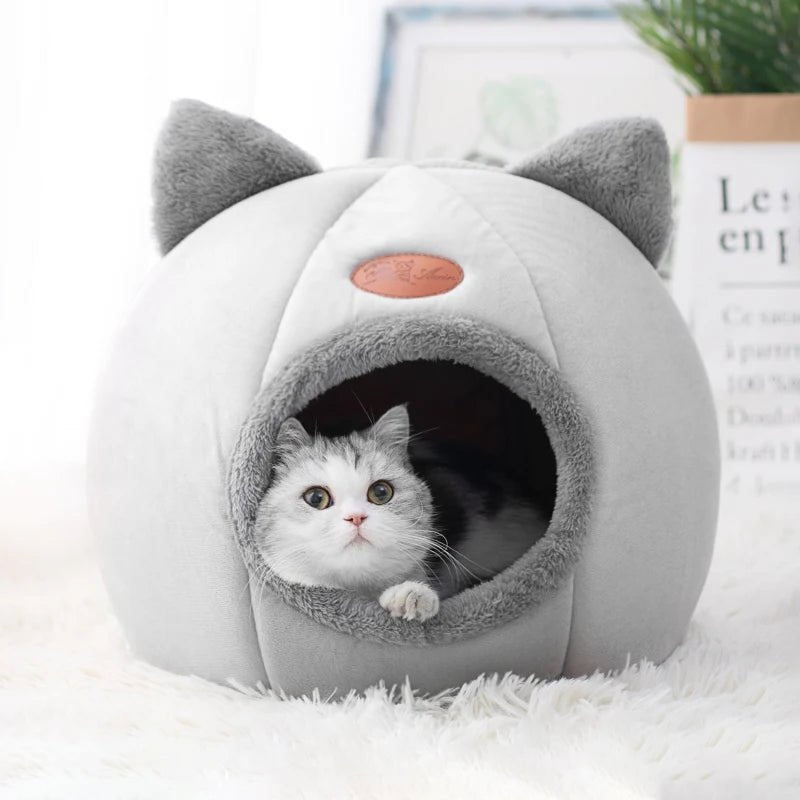 Niche pour chat | ComfyHouse™ - ChatÔchÔcat